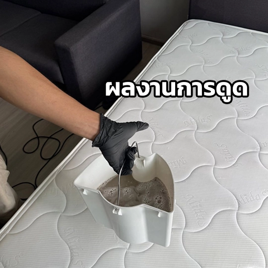 ทำความสะอาดฝูกที่นอน
