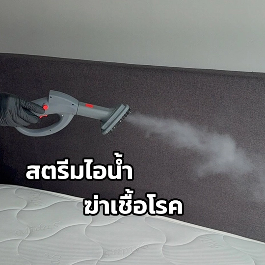 ทำความสะอาดฝูกที่นอน