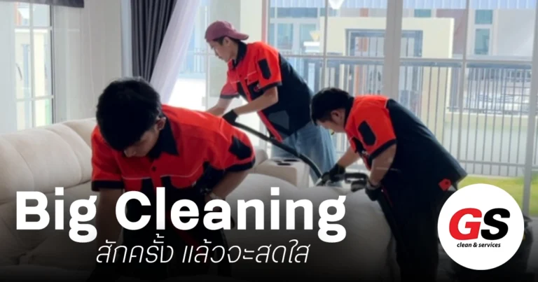 ทำความสะอาดบ้านครั้งใหญ่ Big Cleaning